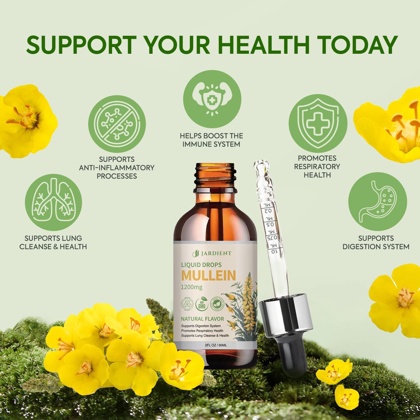 Organic Mullein Drops for Lungs : Mullein Leaf Extract for Lungs- Clean Lung Detox for Smokers-Health and Immune Support Drops, Natural Flavor 2fl.oz