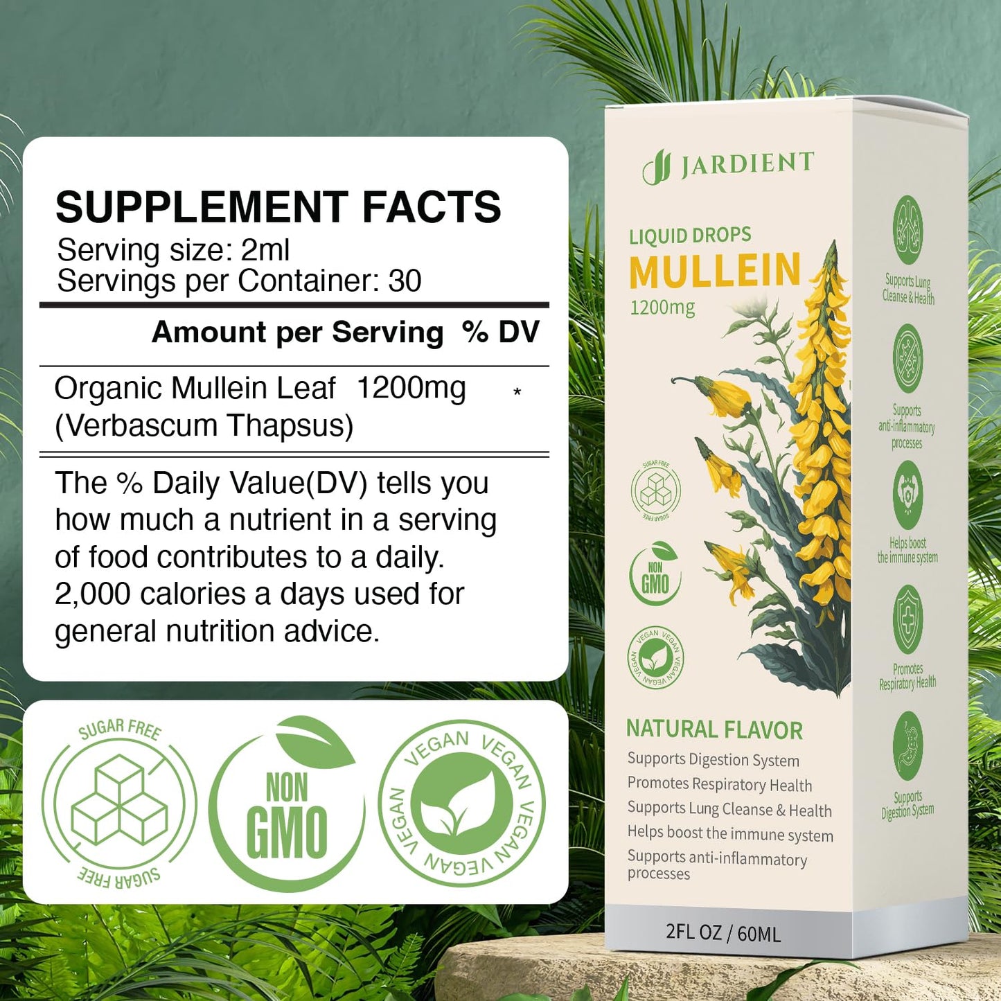 Organic Mullein Drops for Lungs : Mullein Leaf Extract for Lungs- Clean Lung Detox for Smokers-Health and Immune Support Drops, Natural Flavor 2fl.oz