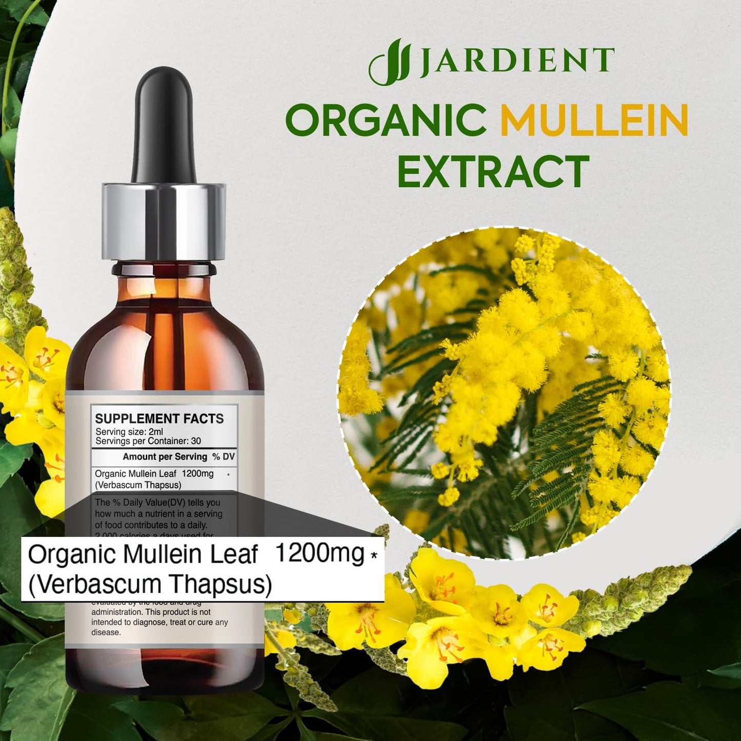 Organic Mullein Drops for Lungs : Mullein Leaf Extract for Lungs- Clean Lung Detox for Smokers-Health and Immune Support Drops, Natural Flavor 2fl.oz